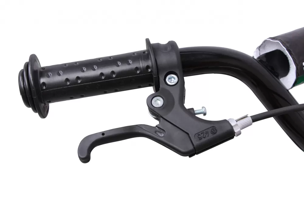 Bmx Fun-S28 16 Inch 28 Cm Jongens Terugtraprem Groen/Matzwart^AMIGO Store