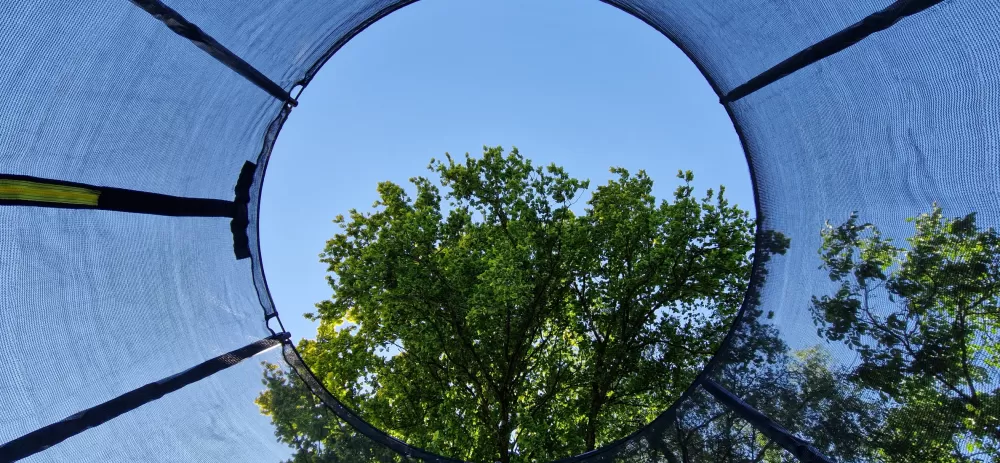 Trampoline Basic Met Veiligheidsnet En Ladder 305 Cm Blauw-S^AMIGO Online