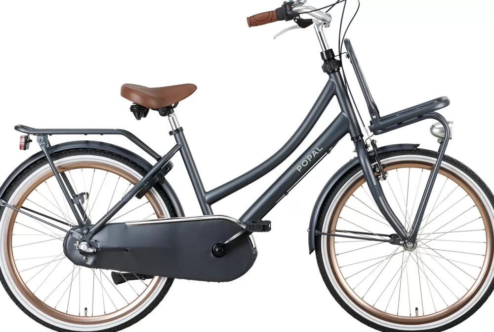 Daily Dutch Basic+ 24 Inch Meisjes 3V Terugtraprem Petrolblauw^Popal Online
