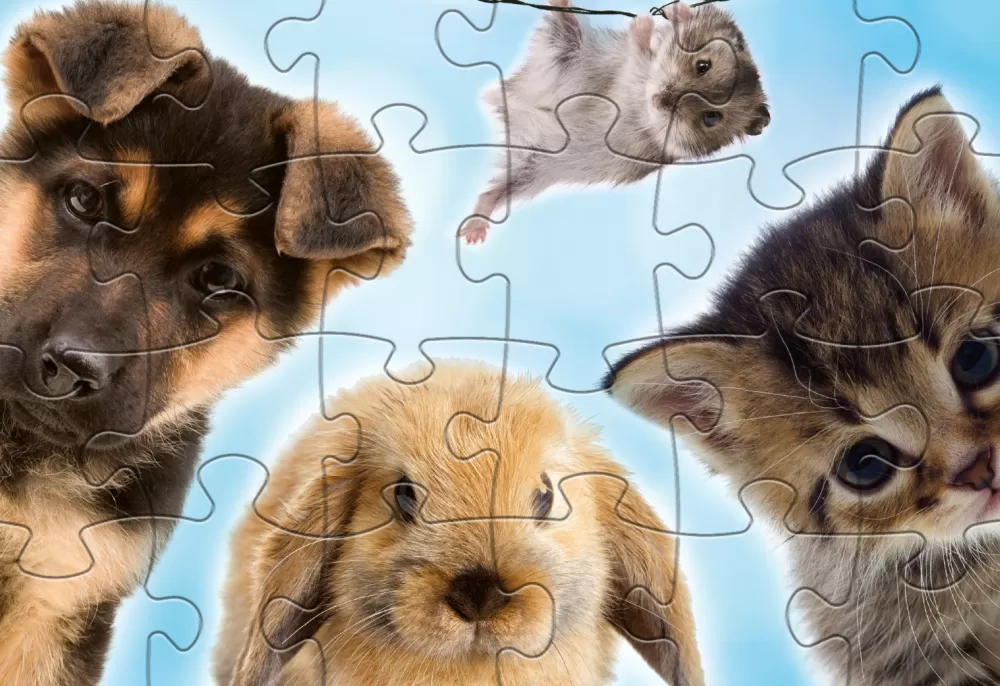 Legpuzzel Babydieren Junior 24/24 Stukjes^Rebo Productions Clearance