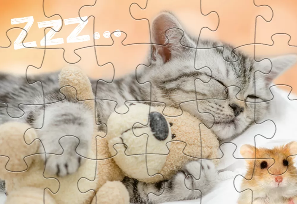 Legpuzzel Babydieren Junior 24/24 Stukjes^Rebo Productions Clearance